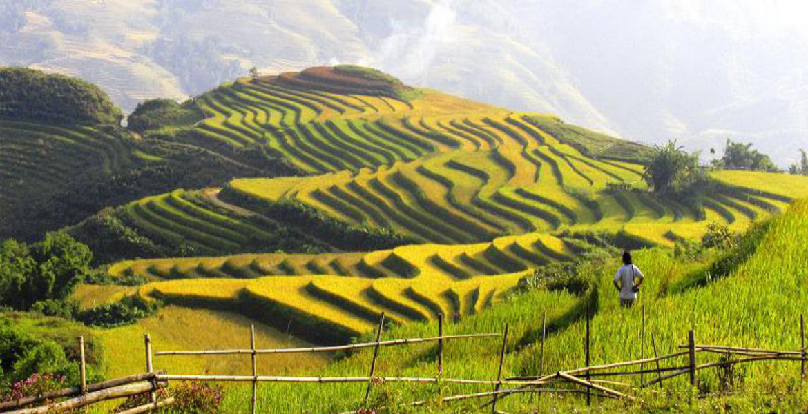 Sapa Trekking Tour with Bus